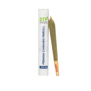 (each) DTF Premium Preroll 1g - Fresh Fritter