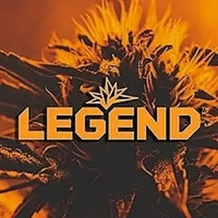 (each) Legends - Apple Runtz - 2g Sauce