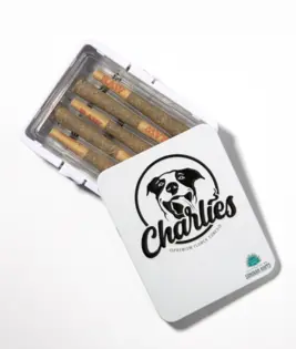 (each) Charlies Pre-Rolls 3g (5pk) - Prickly Pear