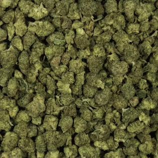 (g) King Weedy: ADMO OG | SMALLS