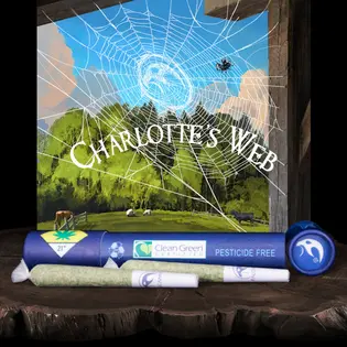 (each) JO 2pk Charlotte's CBD 1.2 Falcanna