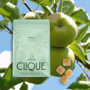 (each) CLIQUE | APPLES & SPICES | (10 PCS)