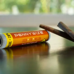 (each) JO 12pk Pennywise 7.2g Trail Blazin