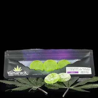 (g) REGULAR - Gummie Gems - Green Apple - DAY - SOUR