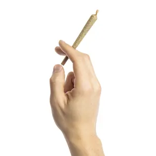 (each) NLCC - Pre-Roll - Face Plant OG #2 - 1g by NLCC