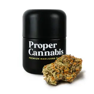 (3.5g) Blank Check #5