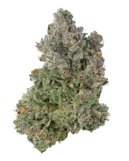 (3.54g) Citradelic Sunset