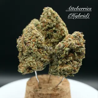 (3.5g) Atteberries (H) (3.5g)