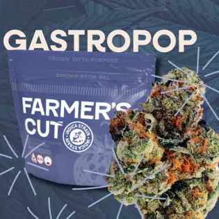 (3.5g) Gastro Pop #4 (I) (3.5g)