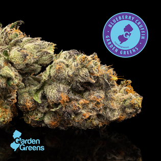 (3.5g) Blueberry Cruffin 3.5g-I