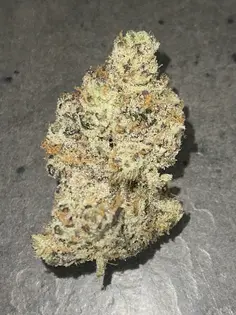 (1.0g) Coconut Cream (Deep Creek)