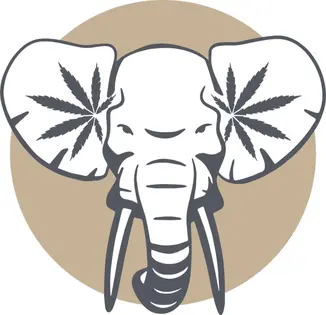 (1.0g) Elephant Ears (Eastwood)