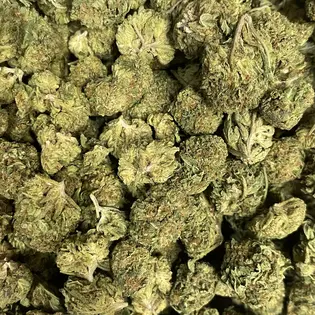 (28.0g) Acai Gelato (Grass Roots)