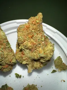 (1.0g) Banana x Durban (Resin Ranchers)