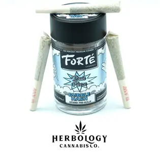 (2.5g) Forte | Bubble Hash Infused Pre-Roll 5 Pack | Glazed Donut x 5