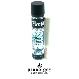 (1.0g) Forte | Bubble Hash Infused Pre-Roll | Brain Freeze | 1g