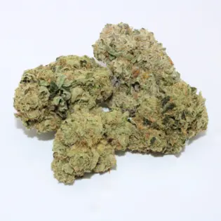 (1.0g) Mi Jane - Deli - Cap Junky