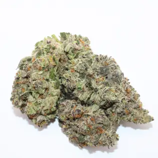 (1.0g) DRJC Exotics - Deli - Lemon Cherry Pie