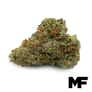 ( 28g) Blue Beach Haze | 28g