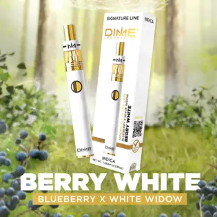 (each) Berry White 2g Disposable