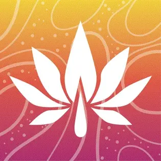 (g) Chem Dawg 0.5g Joint 31.26% THC By Aurora Blaze