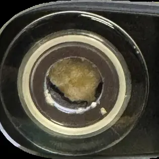 (g) Snowberry 0.5G Crumble Dab Rig Preloaded 73.33% THC by Caradundy