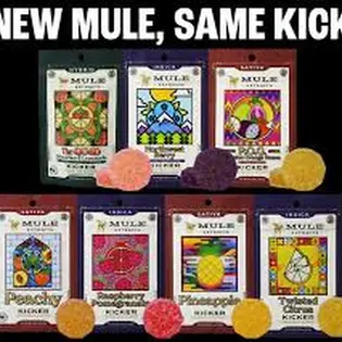 (each)  Mule Kicker Gummy-  1:2 CBG Passion Orange Guava (sativa)