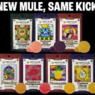(each)  Mule Kicker Gummy-  1:1:1:1:1  The Fivth (hybrid)