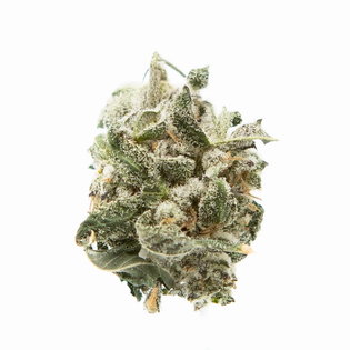 (g) Black Velvet (Hybrid)(Preroll)