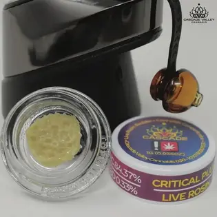 (each) CVC - Strawberry Cherry Gelato 2g Rosin Bucket (H)