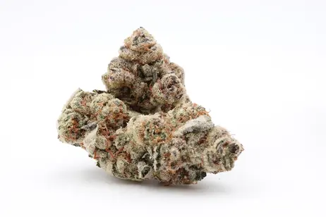 (g) Fruit Roll Dragstrip - Gaia's Ganja Garden (IH)