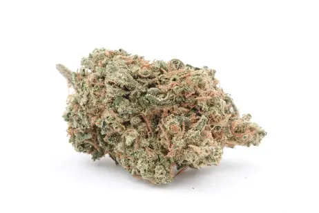 (g) Pineapple Aloha - Gaia's Ganja Garden (S)