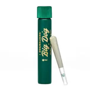 (g) Dogwalkers Big Dog Animal Face PRJ