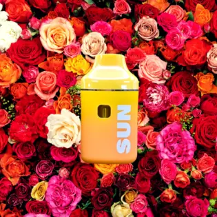 (g) DISPOSABLE | THUG ROZE | LIVE RESIN | 0.5G