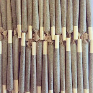 (each) Cinderella 99 [.5g]