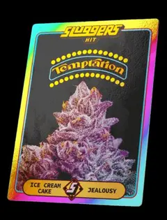 (each) Temptation | Infused PreRoll