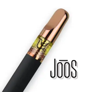 (g) DISPOSABLE | APPLE FRITTER | .3G