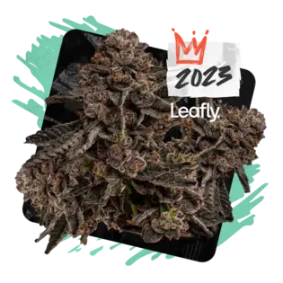 (g) $5 Tier : Permanent Marker