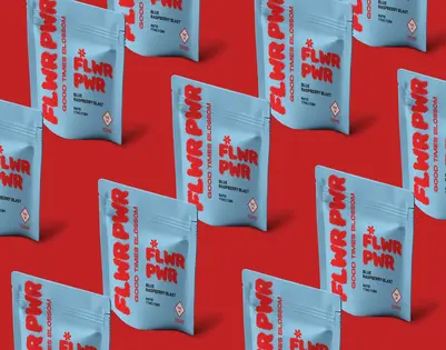 (0.1g) FLWR PWR: 100mg Gummies (1:1 Blue Raspberry Blast, 100mg CBN) 10pc x 10mg