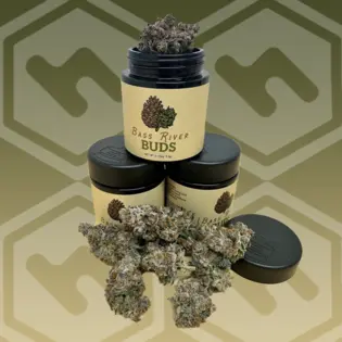 (3.5g) Bass River Buds | GG4 x Oreoz | 3.5g