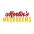 $145/Oz Magic Mushrooms | Mix & Match!