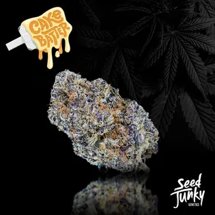 (28.0g) Seed Junky Jars - Thin Mints (H) Pre-Pack