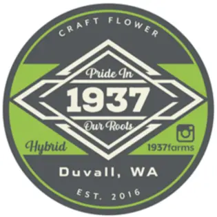 (2.5g) (1937) 5pk 2.5g Joints Tricho Jordan 5 (S)