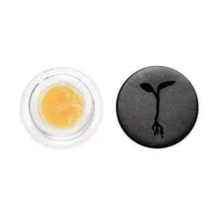 (1.0g) Raw Garden Live BADDER 1g - Apple Fritter #74 (H)