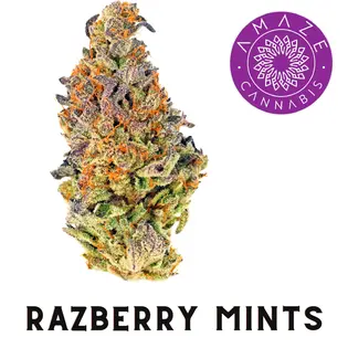 (1.0g) Amaze - Razzberry Mints - Deli Flower