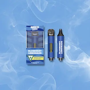 (1.0g) Blueberry Lemonade - Classic 1g 510 Vape Device