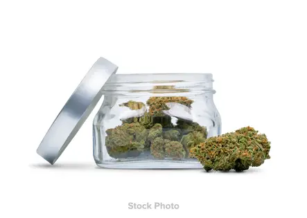 (14.0g) Almora - Indica Blend Ground | Half Ounces