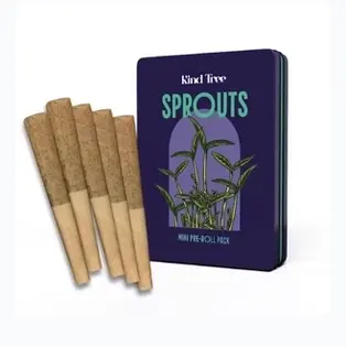 (1.75g) Bubblegum Biscotti | 5 Pack