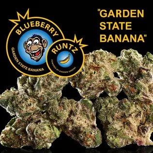 (1.0g) Blueberry Runtz | Garden State Banana 1g Pre-Roll