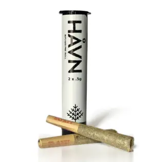 (1.0g) HAVN New Glue x Orange Creamsicle 2pk Hash Rosin Infused Prerolls